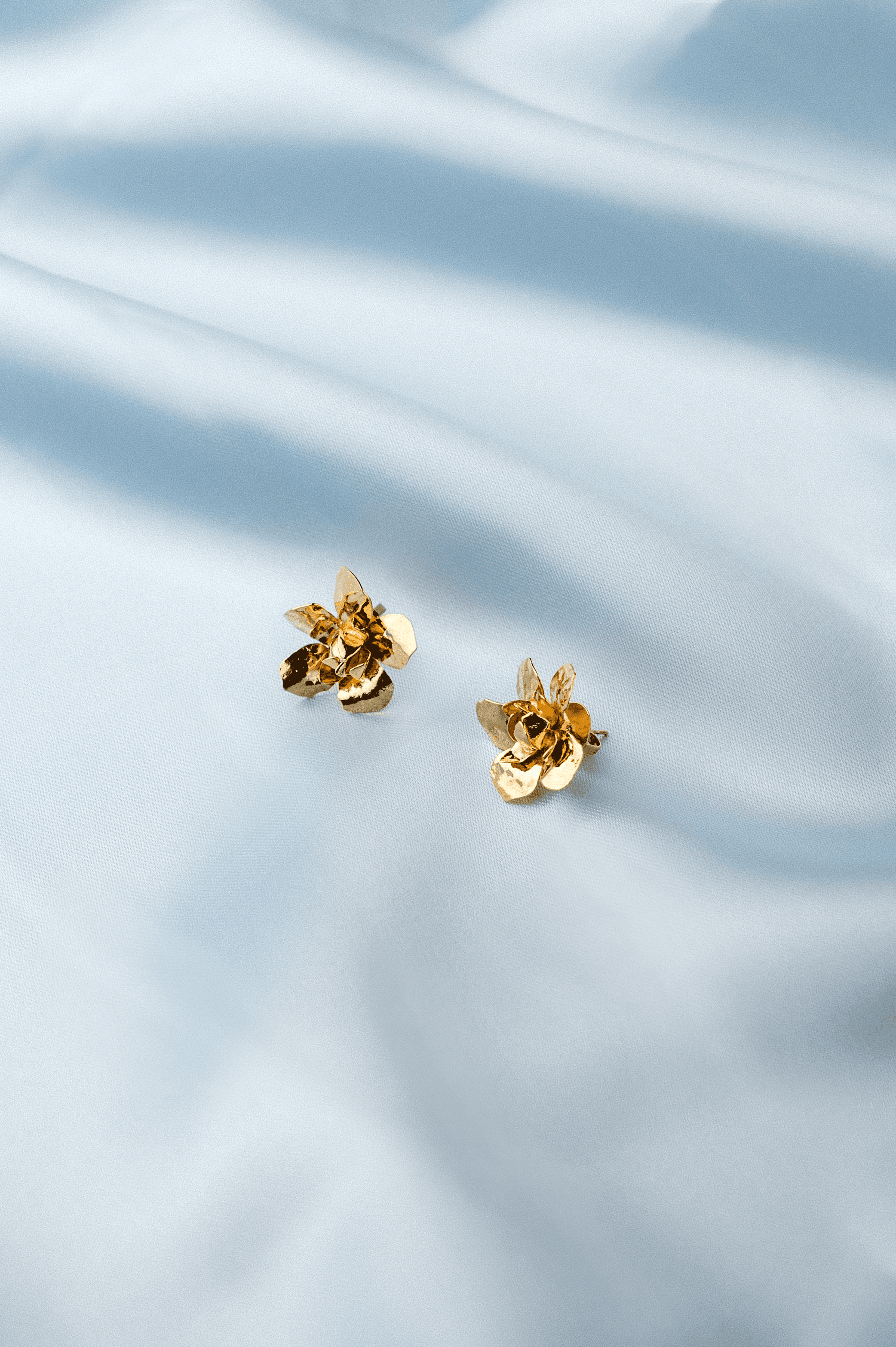 Image de couverture pour la création :ROSALIE 