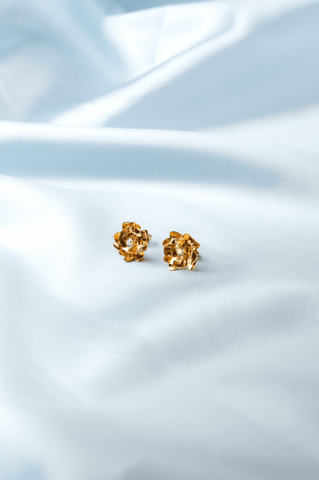 Image d'illustration de la création DIANE 