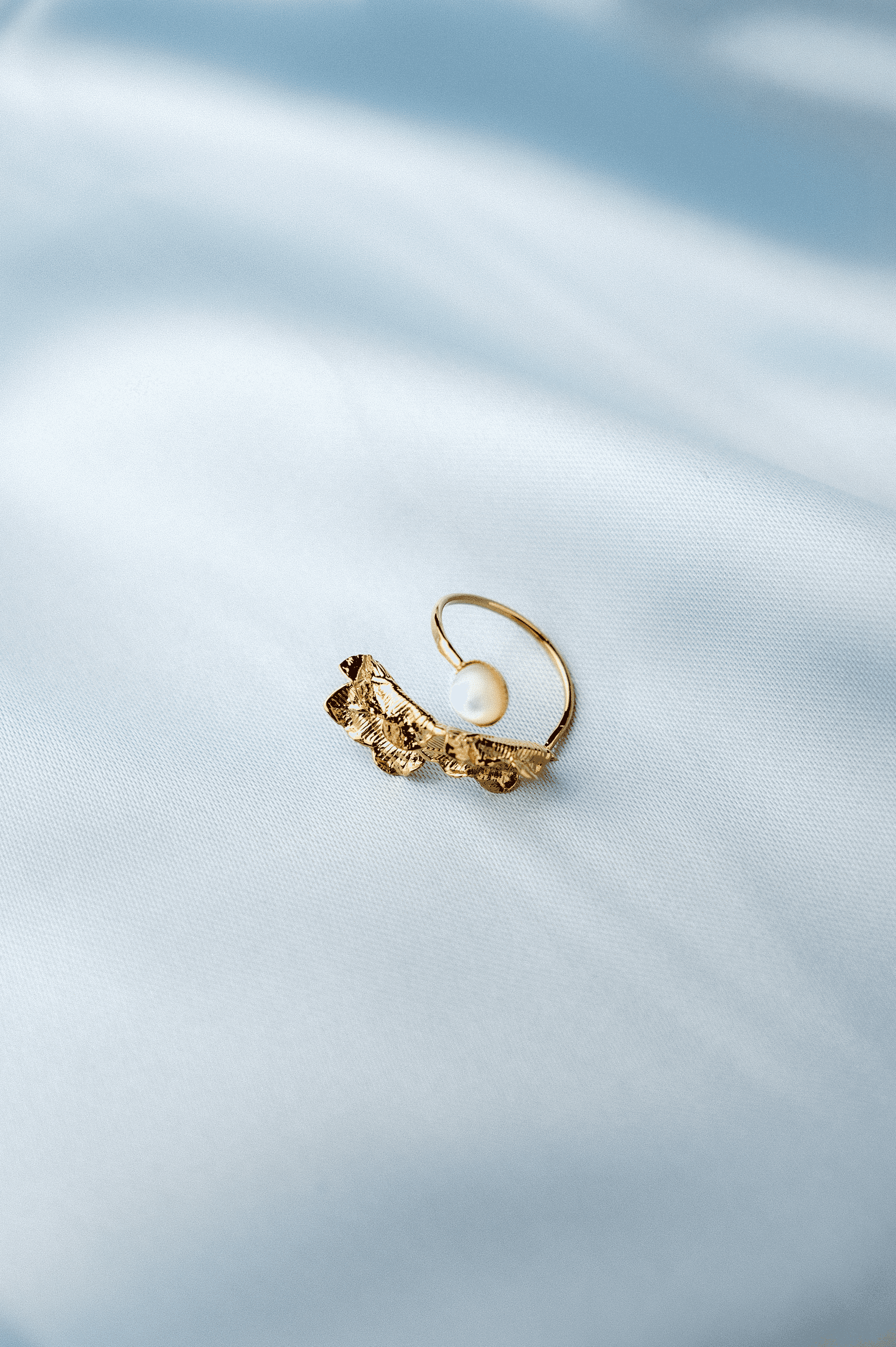 Image de couverture pour la création :LÉONTINE 