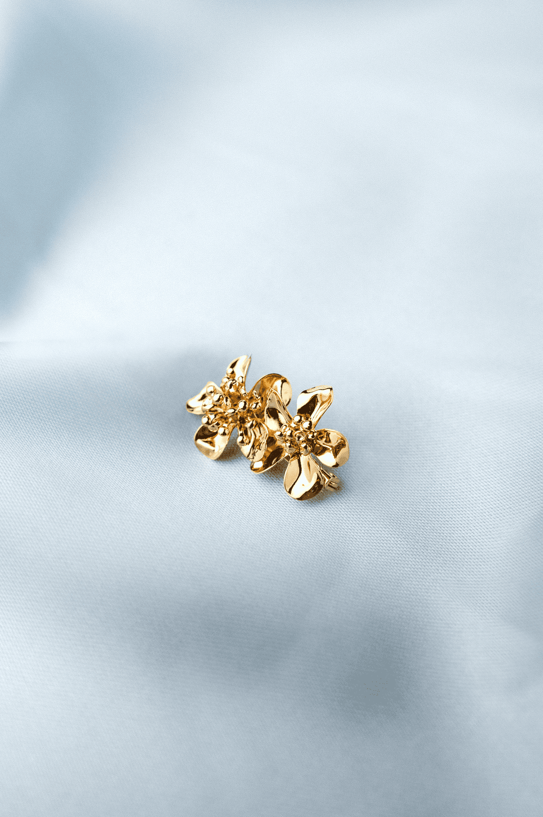 Image d'illustration de la création CÉLESTE 