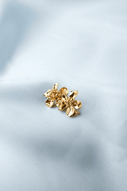 Image d'illustration de la création CÉLESTE  : Vue 1