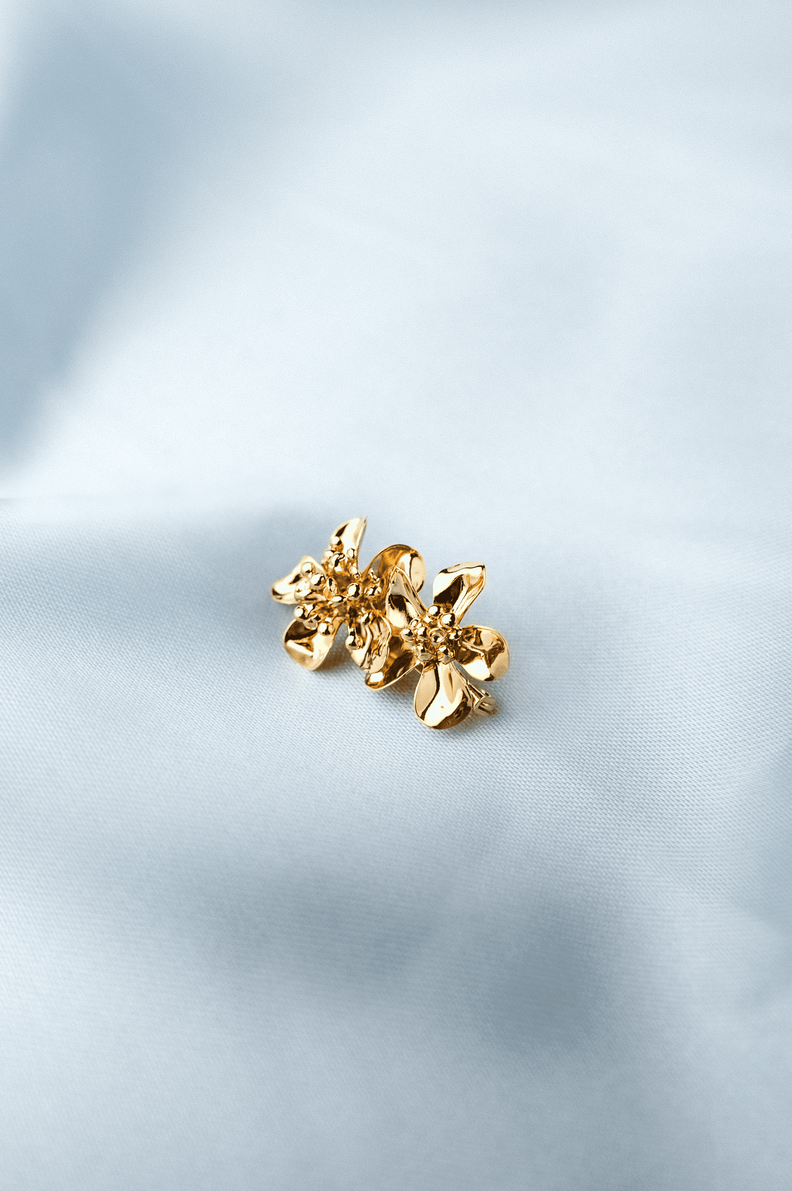 Image de couverture pour la création :CÉLESTE 