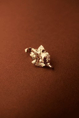 Image d'illustration de la création ARISTIDE  : Vue 2