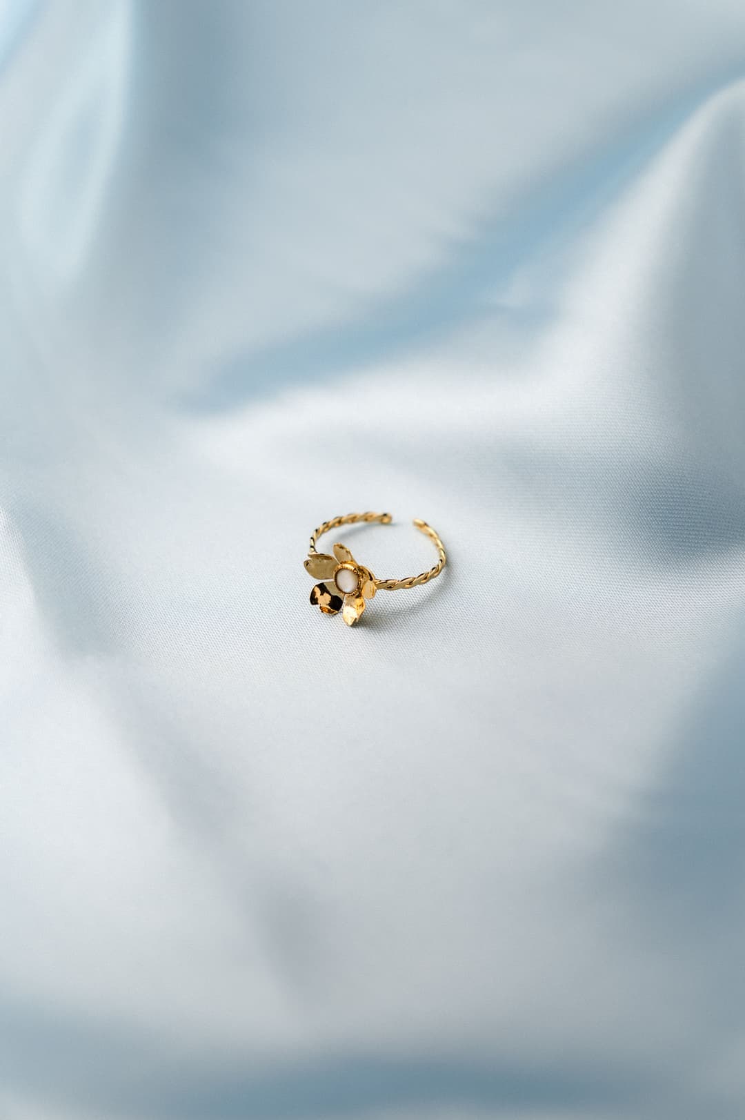 Image d'illustration de la création ALPHONSINE 