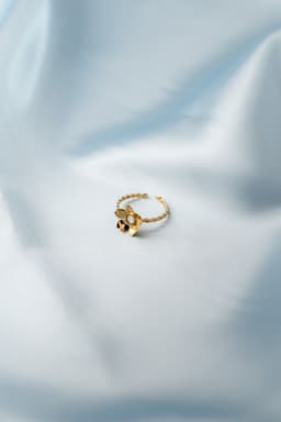 Image d'illustration de la création ALPHONSINE  : Vue 1