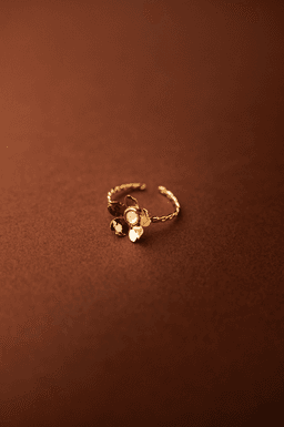 Image d'illustration de la création ALPHONSINE  : Vue 2