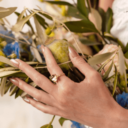 Image d'illustration de la création ALPHONSINE  : Vue 3