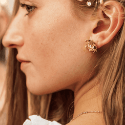 Image d'illustration de la création DIANE  : Vue 3