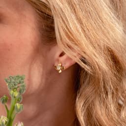 Image d'illustration de la création FLORE : Vue 2