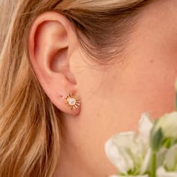 Image d'illustration de la création BERTILLE : Vue 2