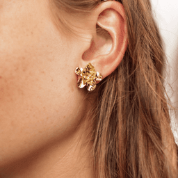 Image d'illustration de la création AGLAE : Vue 2