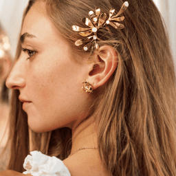 Image d'illustration de la création DIANE  : Vue 4