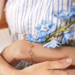 Image d'illustration de la création ARIANE  : Vue 3