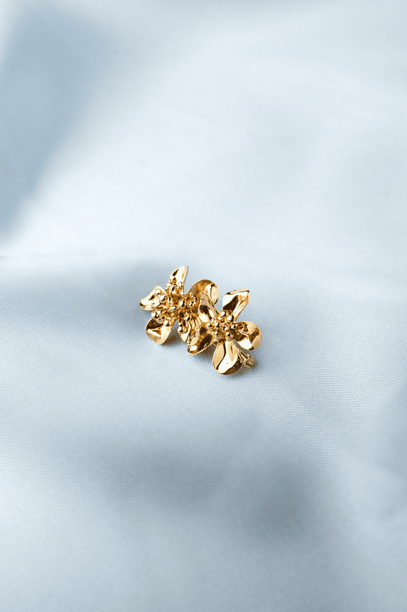 Image de couverture pour la création :CÉLESTE